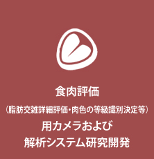 食肉牛格付け向けカメラシステム研究