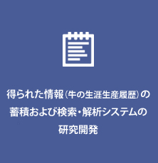 グローバル牛肉格付け向けカメラシステム研究